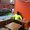 Photo of Pranai R.