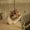 Photo of Qype User (UlkaBe…)