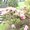 Photo of Qype User (frinee…)