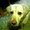 Photo of Lynda G.