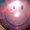 Photo of Terrie M.