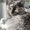 Photo of Luthien K.