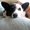 Photo of Qype User (Mikeym…)