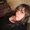 Photo of Eris M.