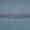 Photo of Google R.