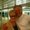 Photo of Dian B.