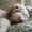 Photo of Fernanda R.