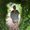 Photo of Tiffani M.