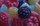 Photo of Qype User (Tipsi0…)