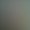 Photo of Dipti R.