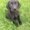 Photo of Joe F.