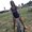 Photo of Barbarann P.