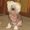 Photo of Edie L.