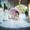 Photo of Yana R.