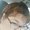 Photo of Vanessa J.