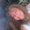 Photo of Vickie M.