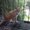 Photo of Kitties H.