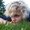 Photo of Qype User (sommer…)