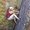 Photo of Staci S.