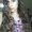 Photo of Emelie R.