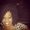 Photo of Jessica T.