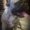 Photo of Cerena T.