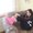 Photo of Kristy C.