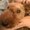 Photo of PJ J.