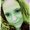 Photo of Christy T.