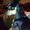 Photo of Jancy S.