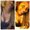 Photo of Layla D.
