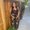 Photo of Alli C.