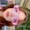 Photo of Cera L.