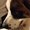 Photo of Cassie D.