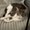 Photo of Zoe L.