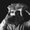 Photo of Alex M.