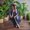 Photo of Tinthi T.
