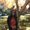 Photo of Tinashe Samantha N.