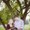 Photo of Marsha S.