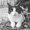 Photo of Nancy B.