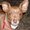 Photo of Cheryl R.