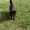 Photo of Sophie R.