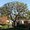 Photo of Nicolas M.