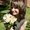 Photo of Olga M.