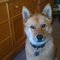 Debbie S. profile picture