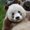 Photo of Yili S.
