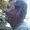 Photo of Daryl L.