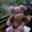Photo of Qype User (piglet…)