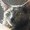 Photo of Kitty D.