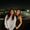 Photo of Angeline K.